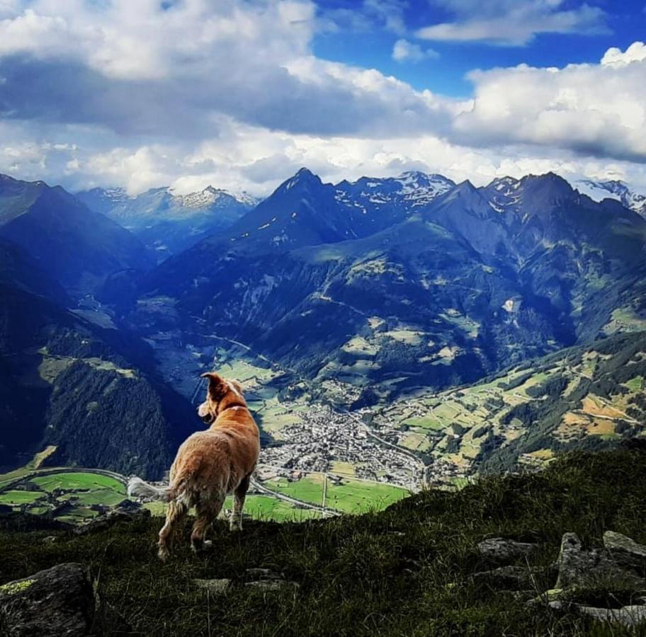 Haus Wibmer Matrei in Osttirol Exteriér fotografie