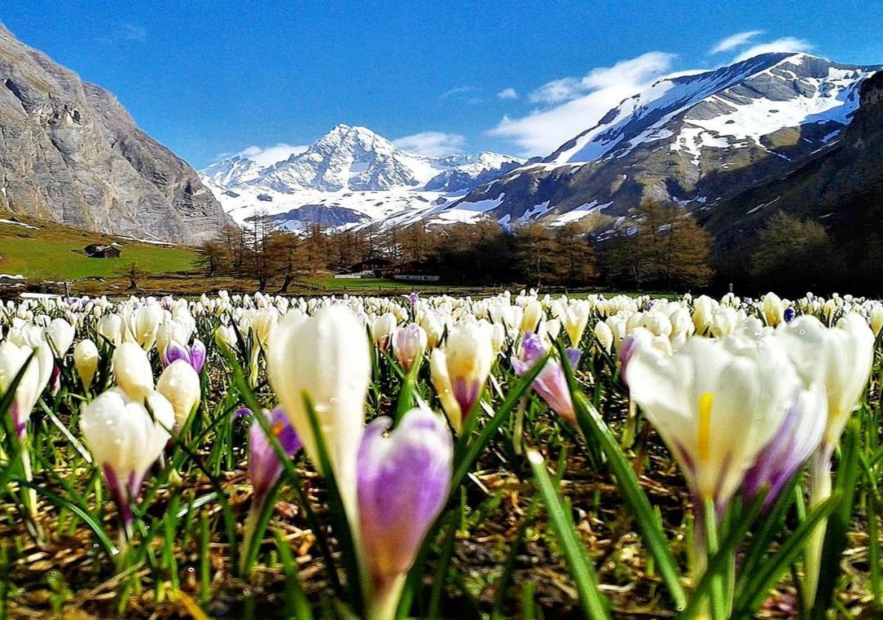 Haus Wibmer Matrei in Osttirol Exteriér fotografie