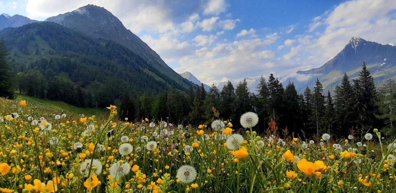 Haus Wibmer Matrei in Osttirol Exteriér fotografie