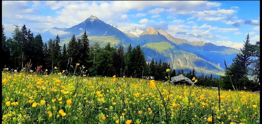 Haus Wibmer Matrei in Osttirol Exteriér fotografie